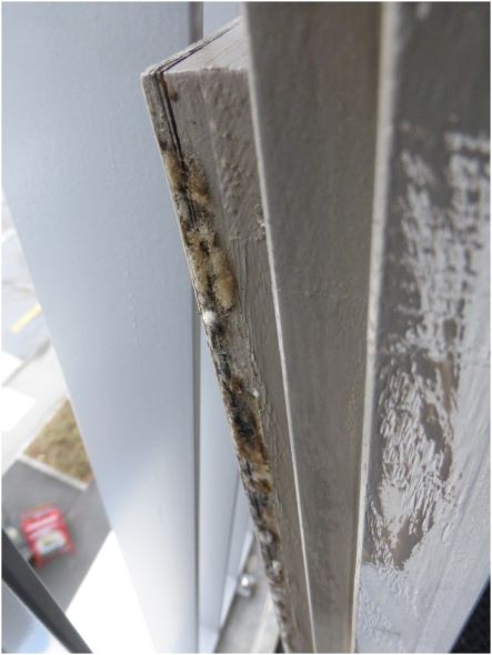 Sachverständiger Türen: Schadenfall copy copy copy copy Sachverständiger Türen: Schadenfall